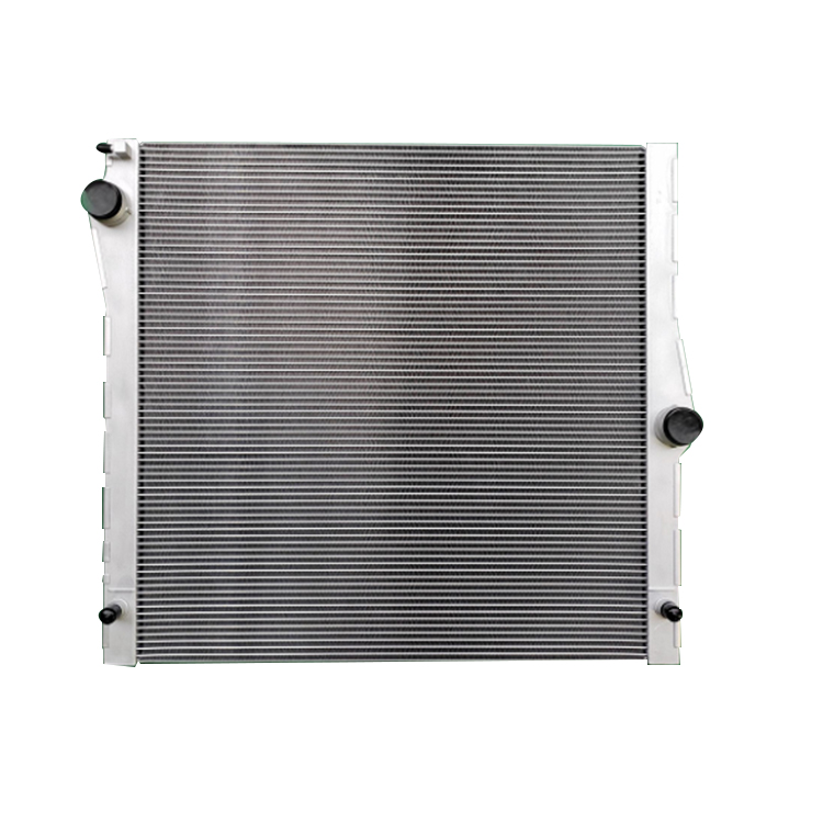 BMW X5 E70 3.0 4.8 2006-2013 Auto Radiador